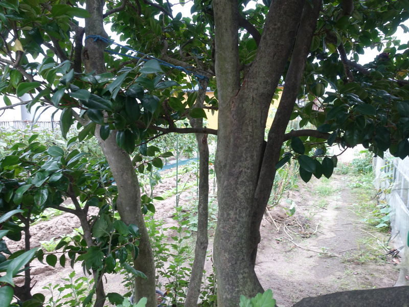 f:id:marujin:20180916163109j:plain f:id:marujin:20180916163109j:plain