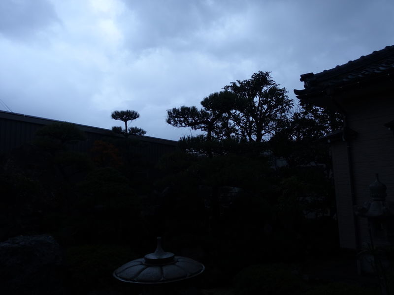 f:id:marujin:20181113080924j:plain