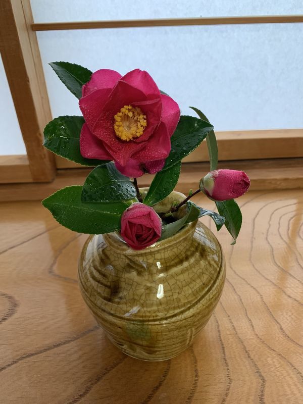 f:id:marujin:20181206130851j:plain