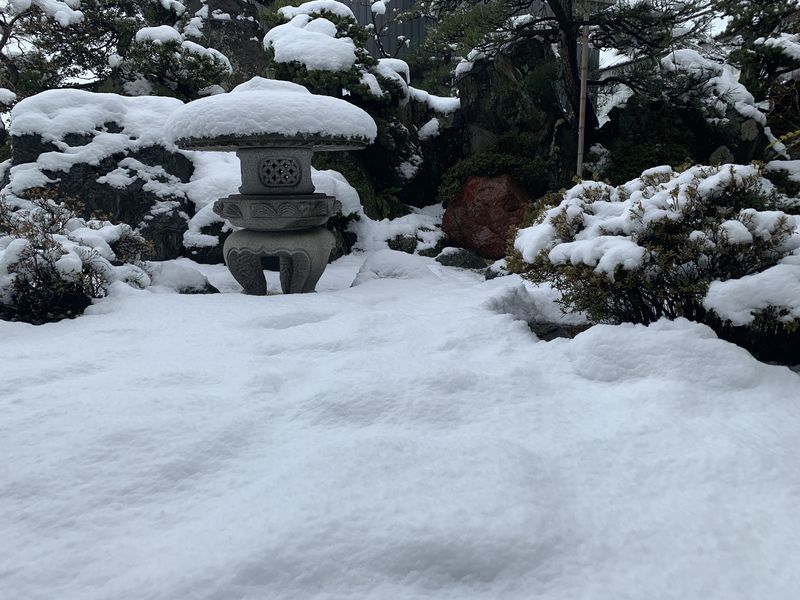 f:id:marujin:20190126130408j:plain
