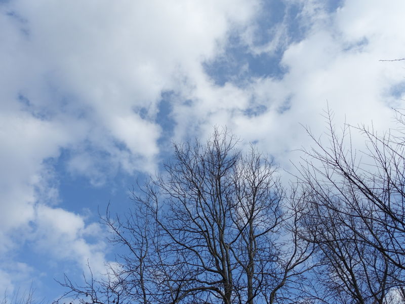 f:id:marujin:20190218161226j:plain