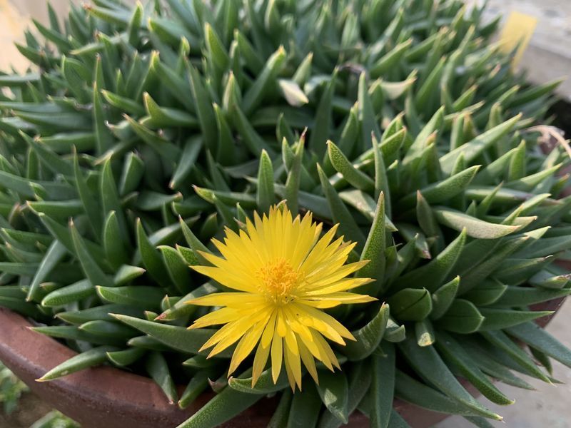 f:id:marujin:20190305151112j:plain f:id:marujin:20190305151112j:plain