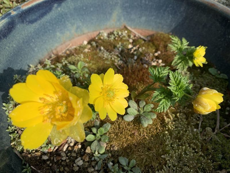 f:id:marujin:20190305151123j:plain f:id:marujin:20190305151123j:plain