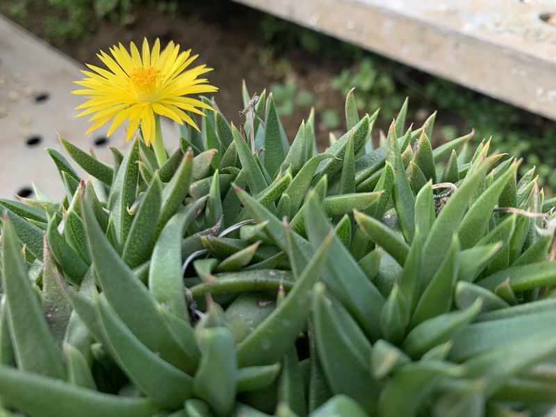f:id:marujin:20190305151134j:plain f:id:marujin:20190305151134j:plain