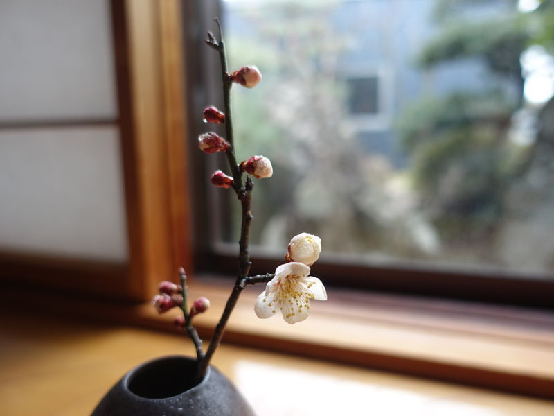 f:id:marujin:20190308141430j:plain f:id:marujin:20190308141430j:plain