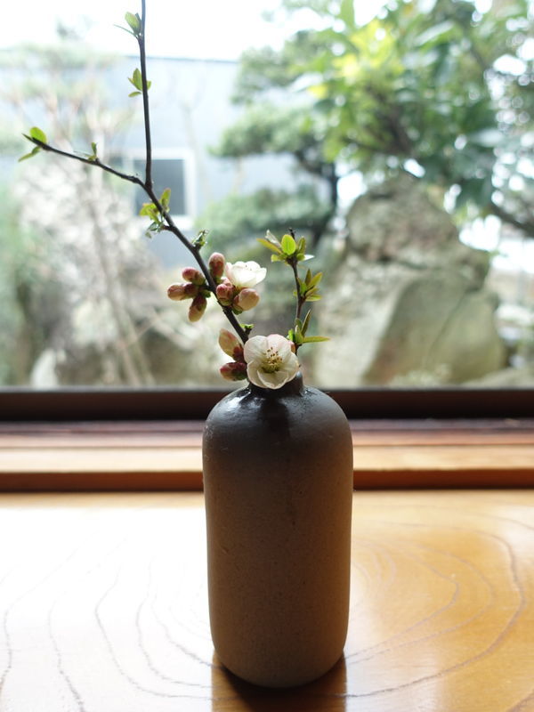 f:id:marujin:20190330152705j:plain