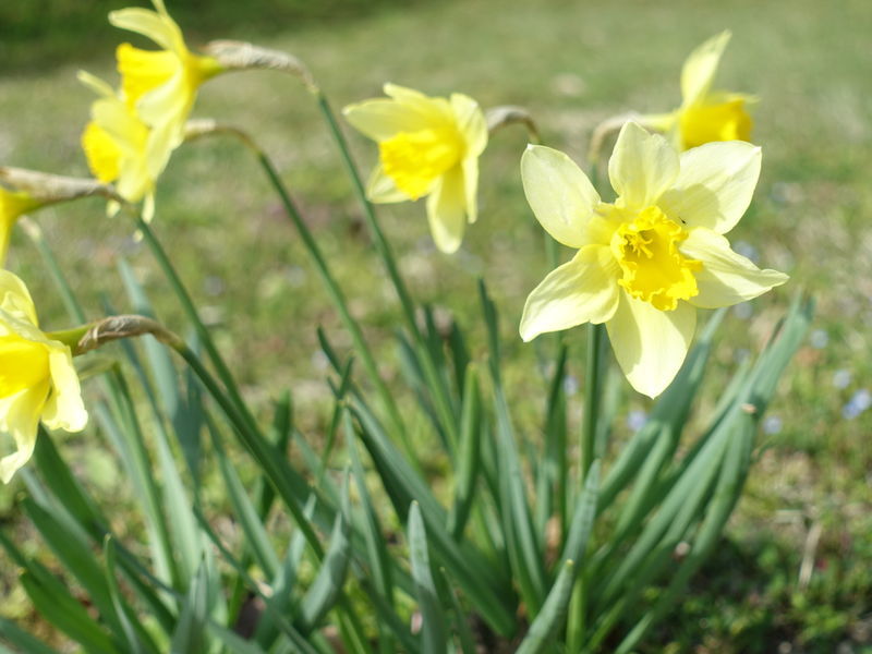 f:id:marujin:20190408145101j:plain f:id:marujin:20190408145101j:plain