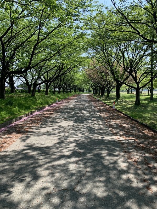 f:id:marujin:20190503155509j:plain