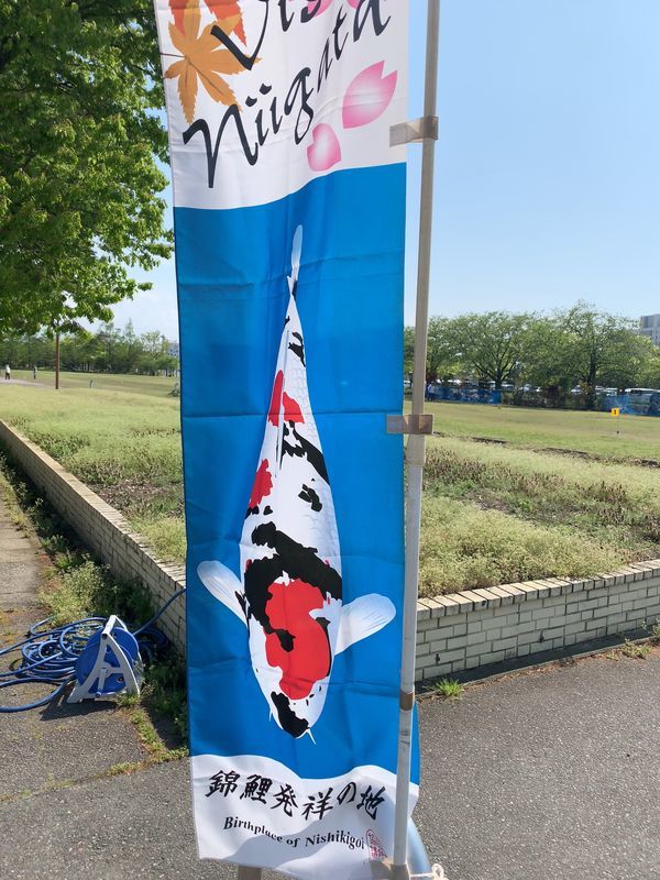 f:id:marujin:20190503155607j:plain