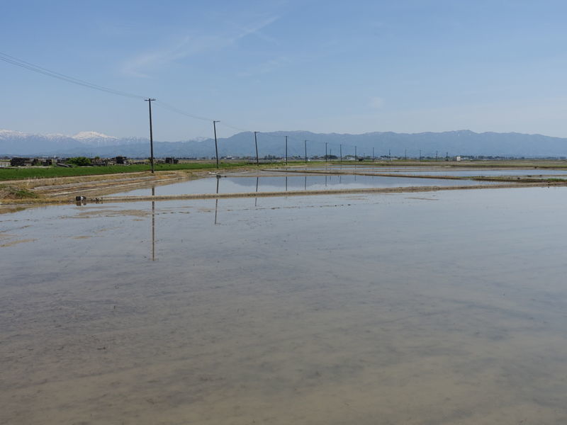 f:id:marujin:20190505142230j:plain