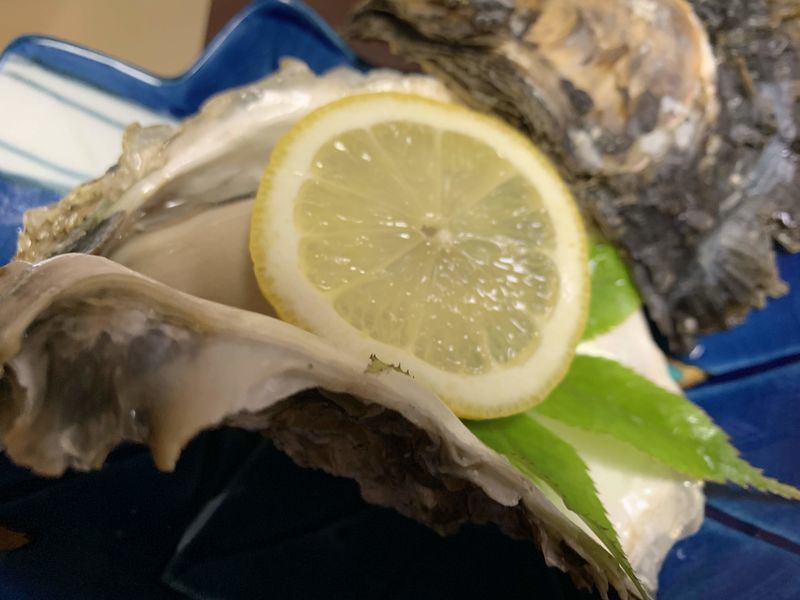 f:id:marujin:20190525112138j:plain f:id:marujin:20190525112138j:plain