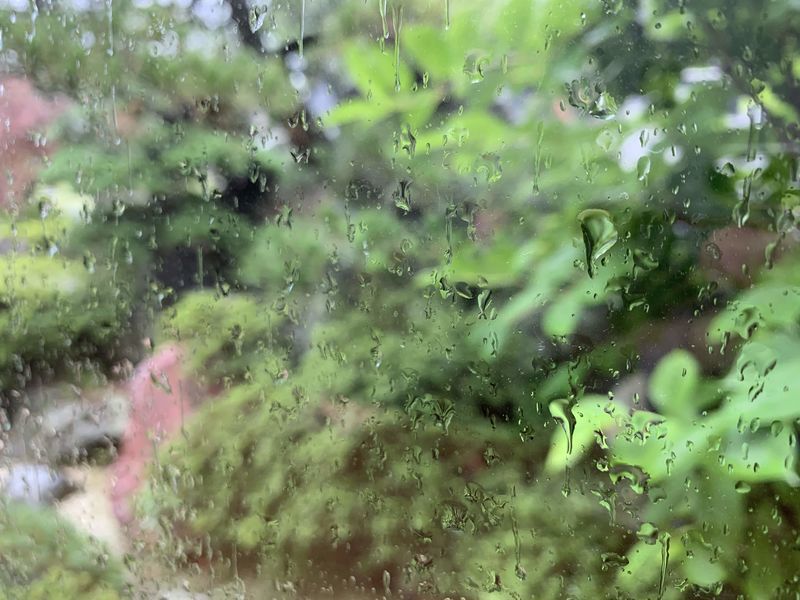 f:id:marujin:20190630151144j:plain