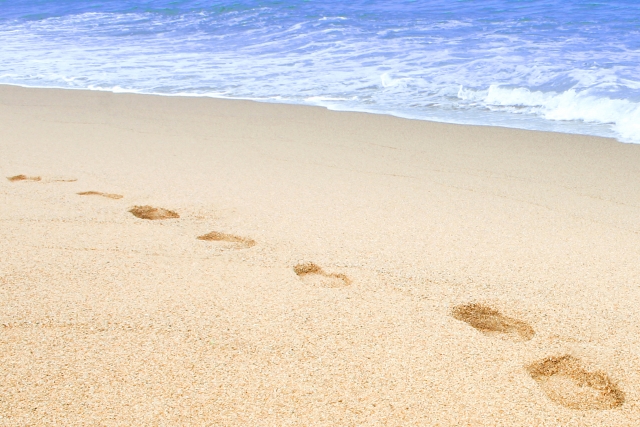 f:id:maruko-aoi:20170511201702j:plain f:id:maruko-aoi:20170511201702j:plain