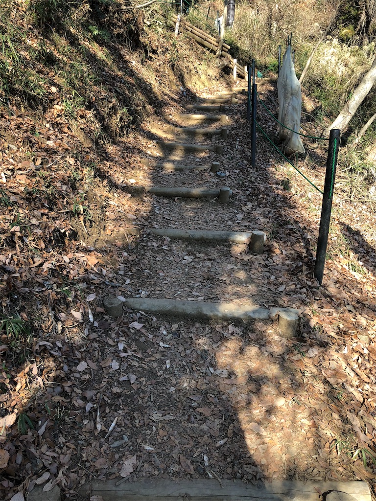 f:id:maruko-blog:20190202205621j:image