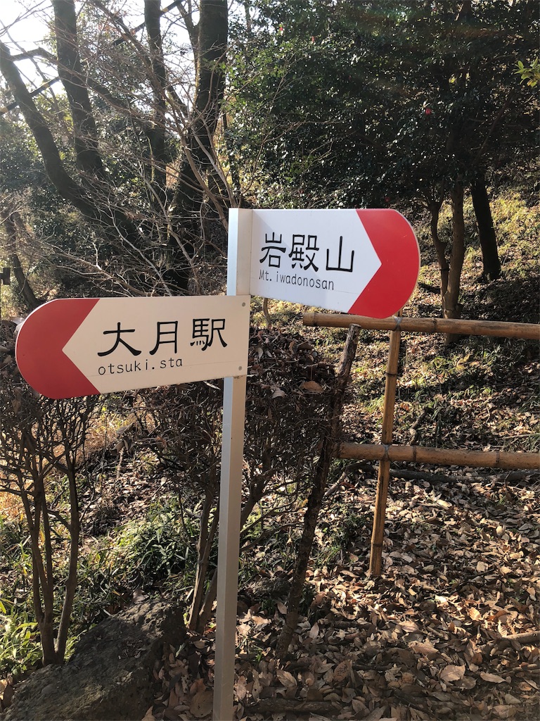 f:id:maruko-blog:20190202205628j:image