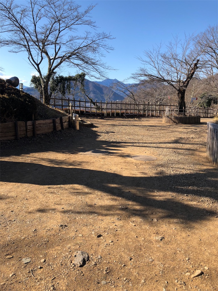 f:id:maruko-blog:20190202205634j:image