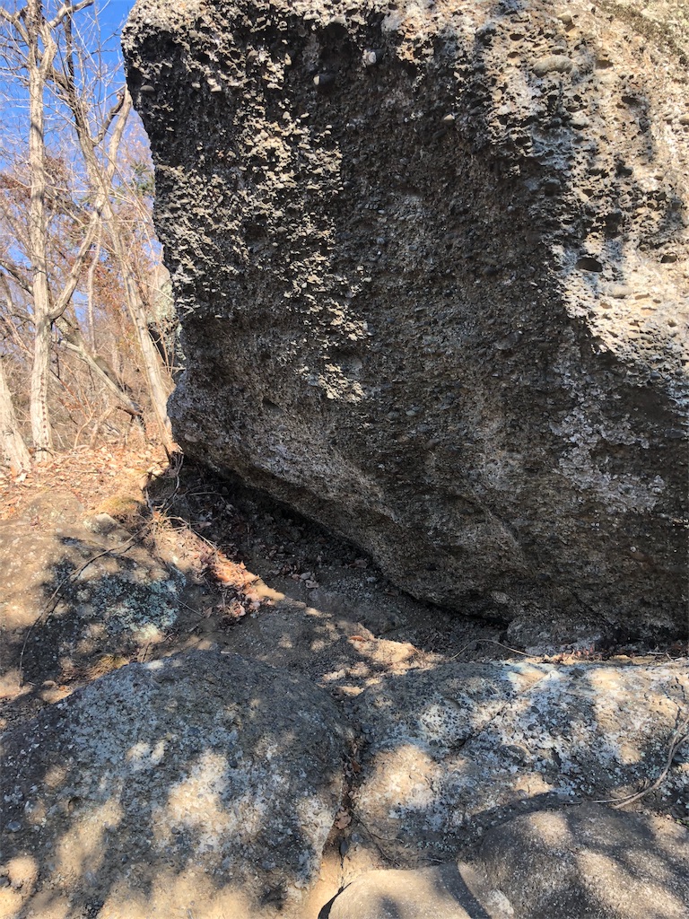 f:id:maruko-blog:20190202210308j:image