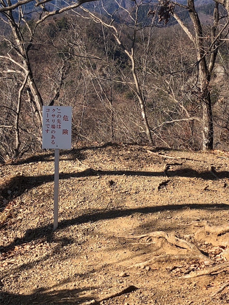 f:id:maruko-blog:20190202210313j:image