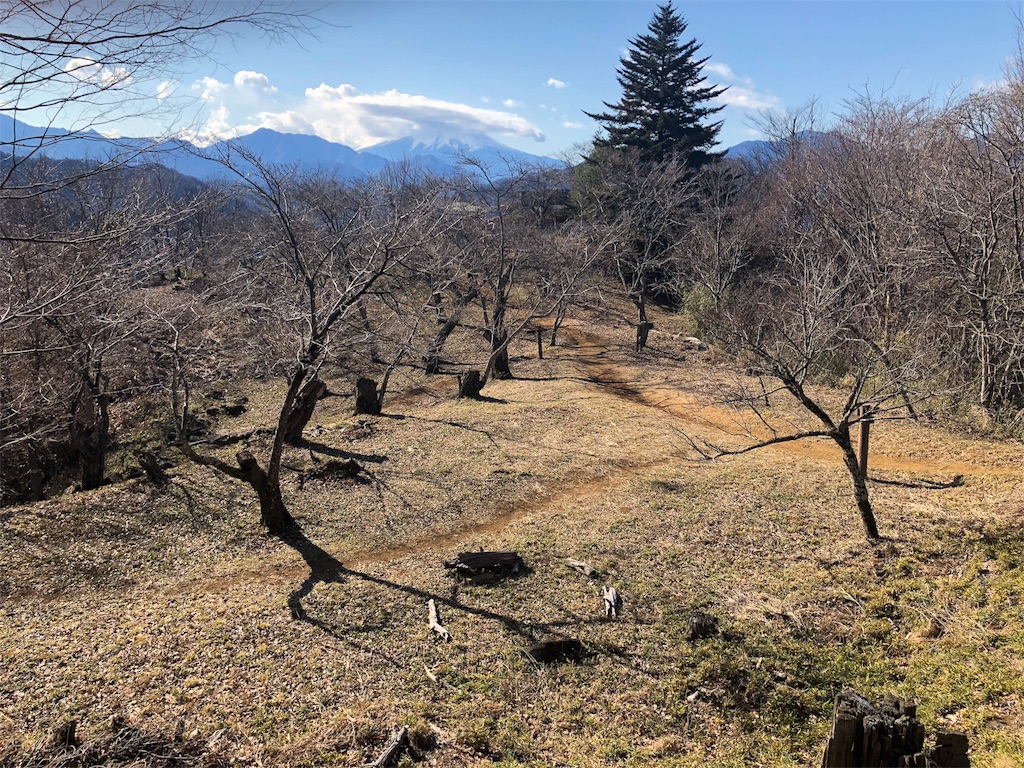 f:id:maruko-blog:20190204181919j:image
