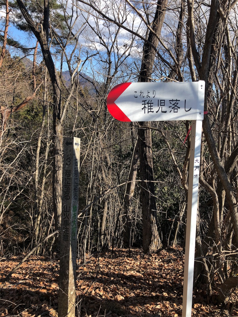 f:id:maruko-blog:20190205082307j:image