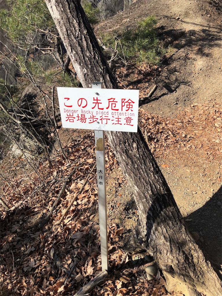 f:id:maruko-blog:20190205082311j:image