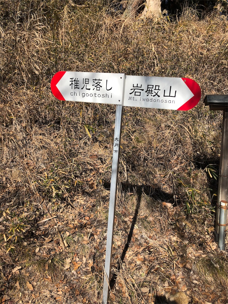 f:id:maruko-blog:20190205085401j:image
