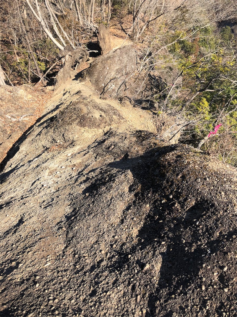 f:id:maruko-blog:20190205182143j:image