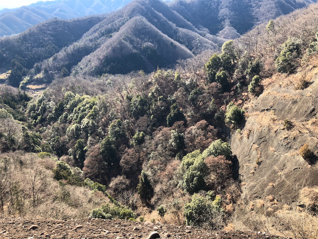 f:id:maruko-blog:20190205182148j:image