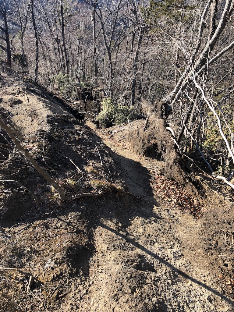f:id:maruko-blog:20190205182159j:image