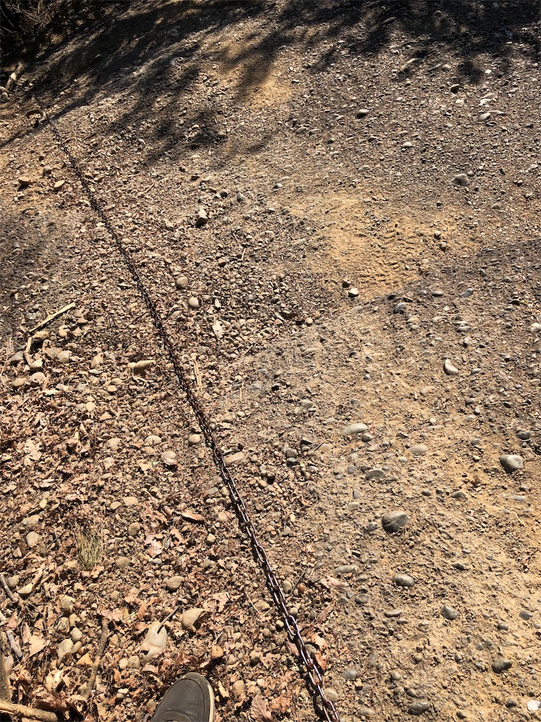 f:id:maruko-blog:20190205182204j:image