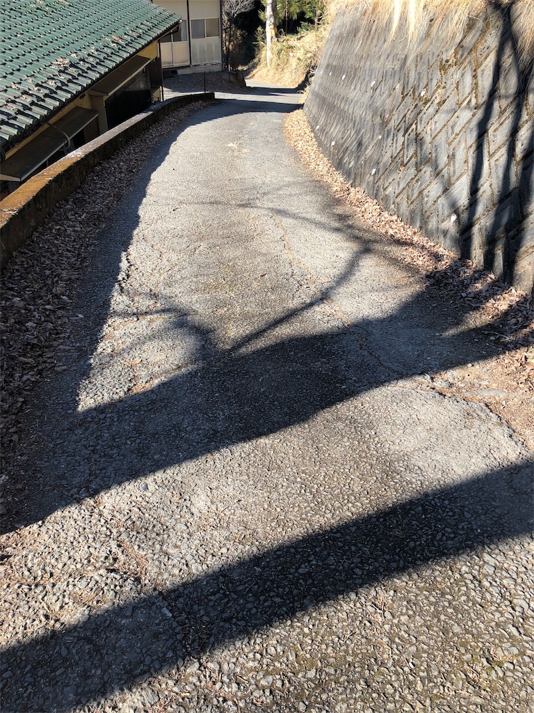 f:id:maruko-blog:20190205183052j:image