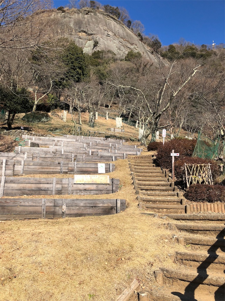 f:id:maruko-blog:20190206115555j:image