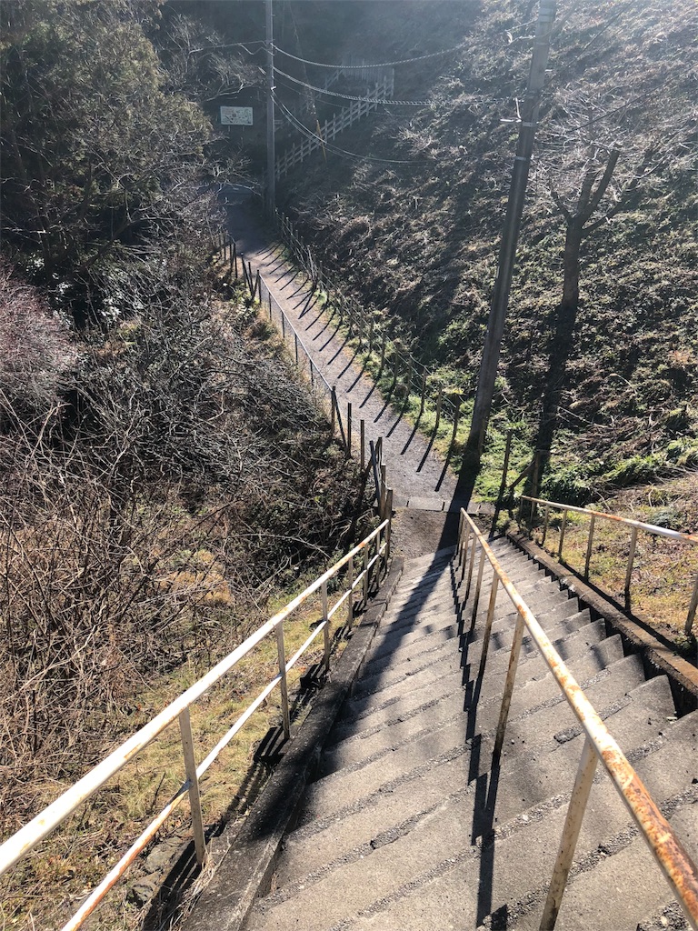 f:id:maruko-blog:20190214083418j:image