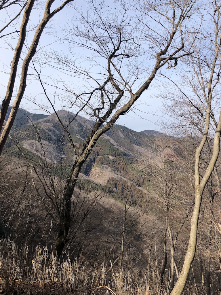 f:id:maruko-blog:20190214084504j:image