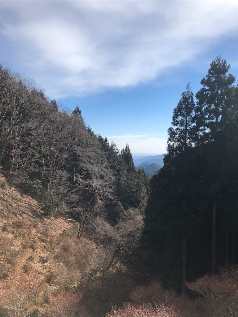 f:id:maruko-blog:20190214084515j:image