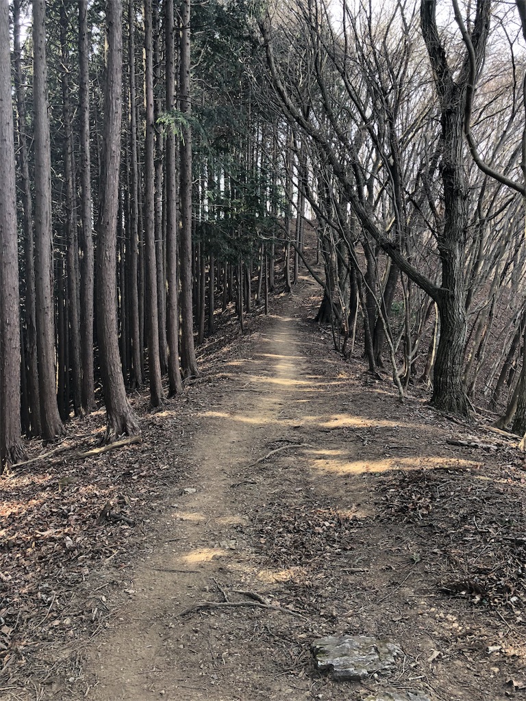 f:id:maruko-blog:20190214084525j:image