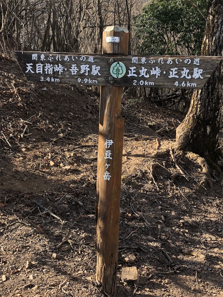f:id:maruko-blog:20190214085923j:image