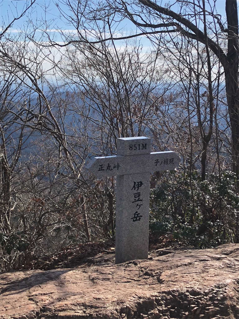 f:id:maruko-blog:20190214085928j:image