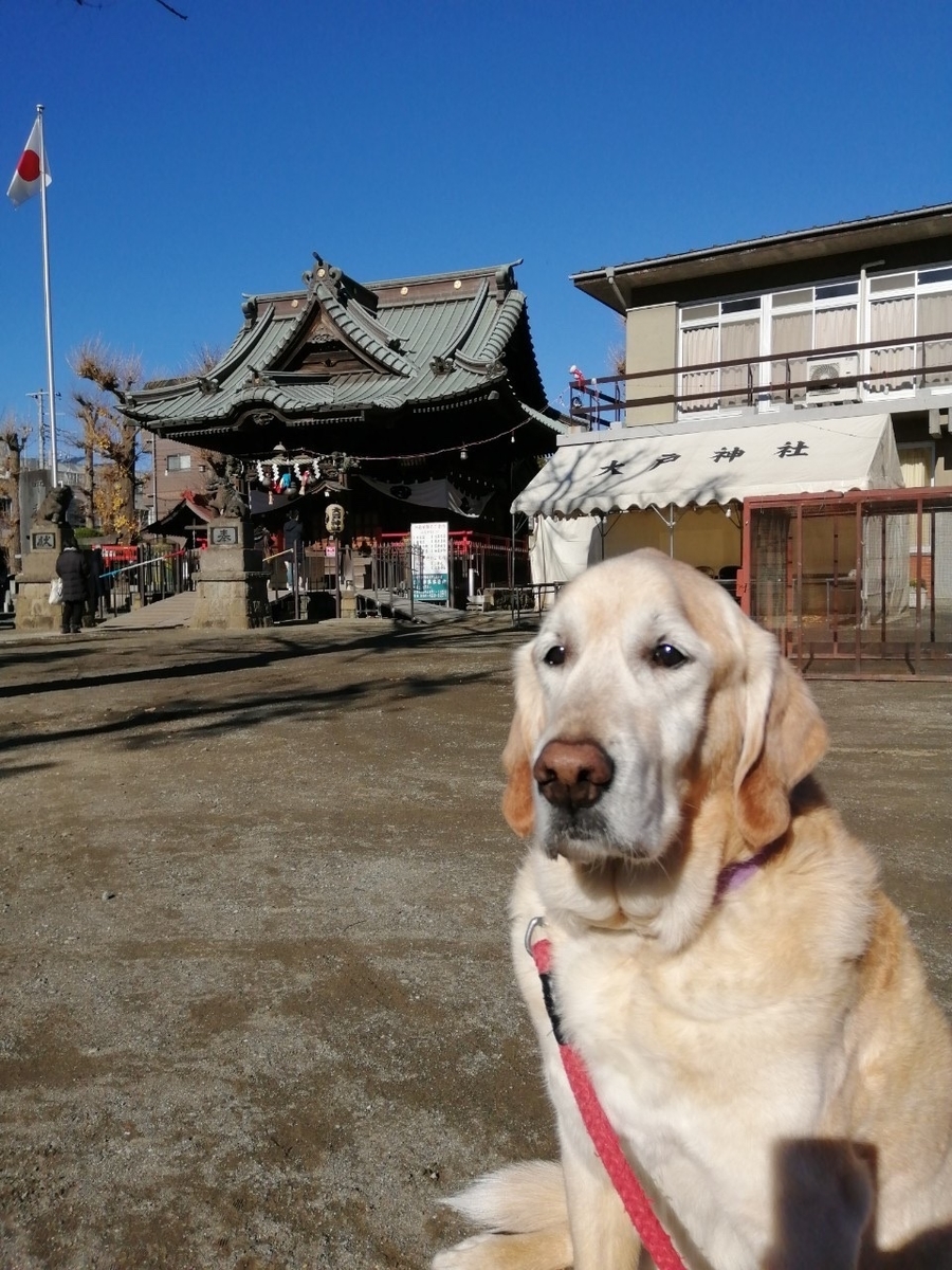 f:id:maruko-h:20210119120722j:plain