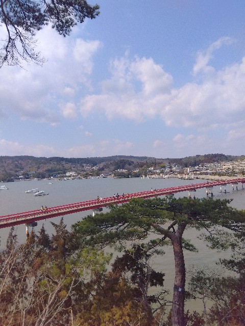 f:id:maruko1214:20240721091827j:image