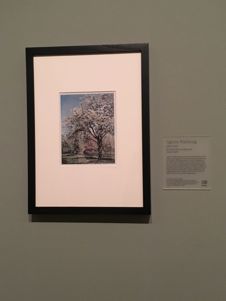 f:id:marukolin:20180528135847j:plain