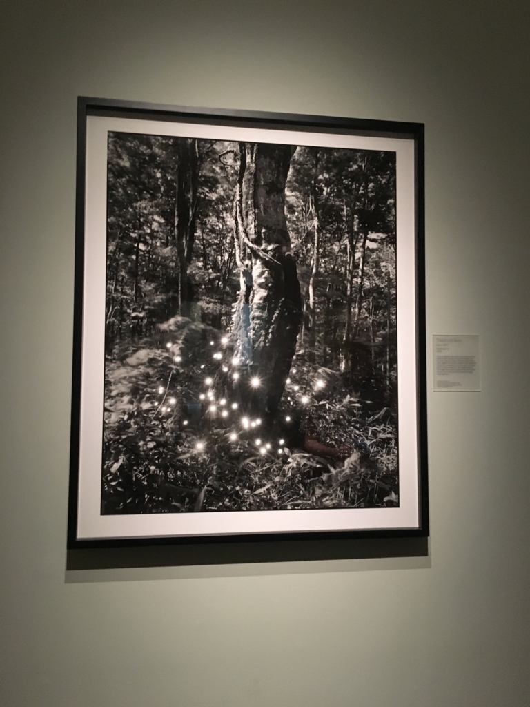 f:id:marukolin:20180528140028j:plain