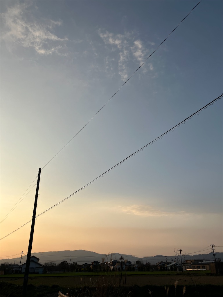 f:id:marukororin:20240323034819j:image