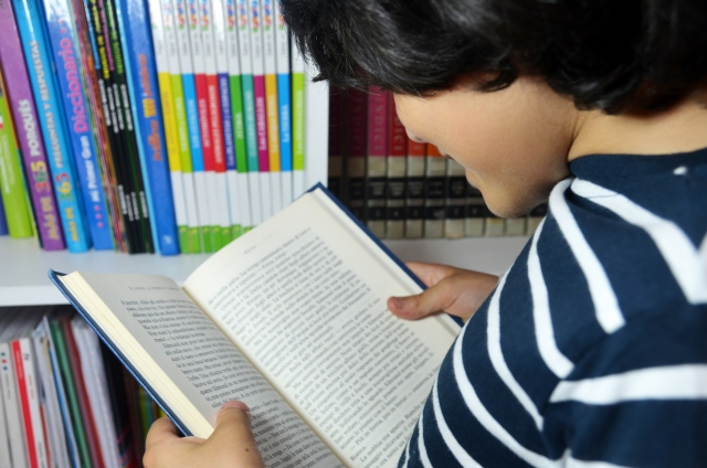 本を読んでわくわくしている少年