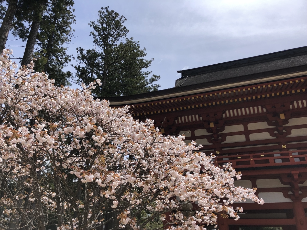 桜の時期の高野山