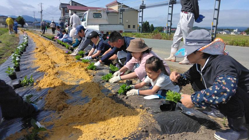 「花見良子満開ロード」