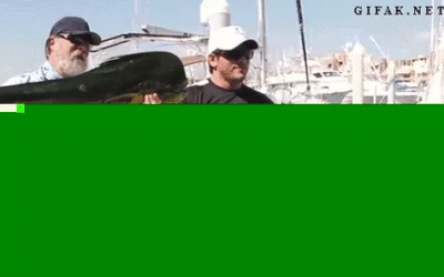 f:id:marukudo:20151225021117g:plain