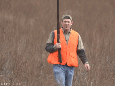 f:id:marukudo:20160625061528g:plain