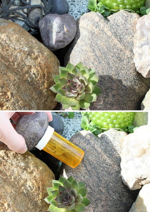 f:id:marukudo:20180403172248j:plain