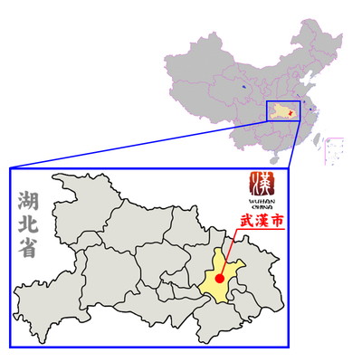 f:id:marukudo:20200220001524j:plain f:id:marukudo:20200220001524j:plain
